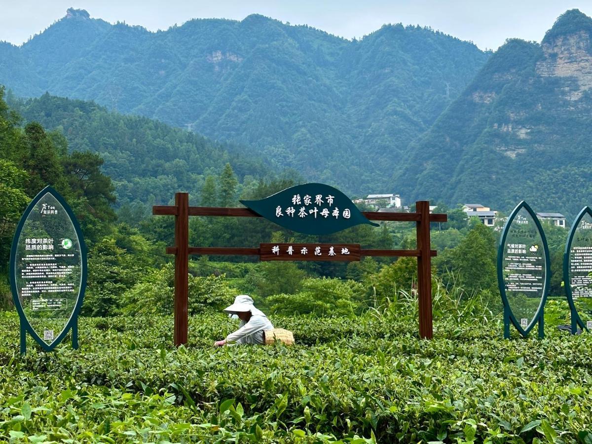 Zhangjiajie National Park Nvue Resorts Exterior photo